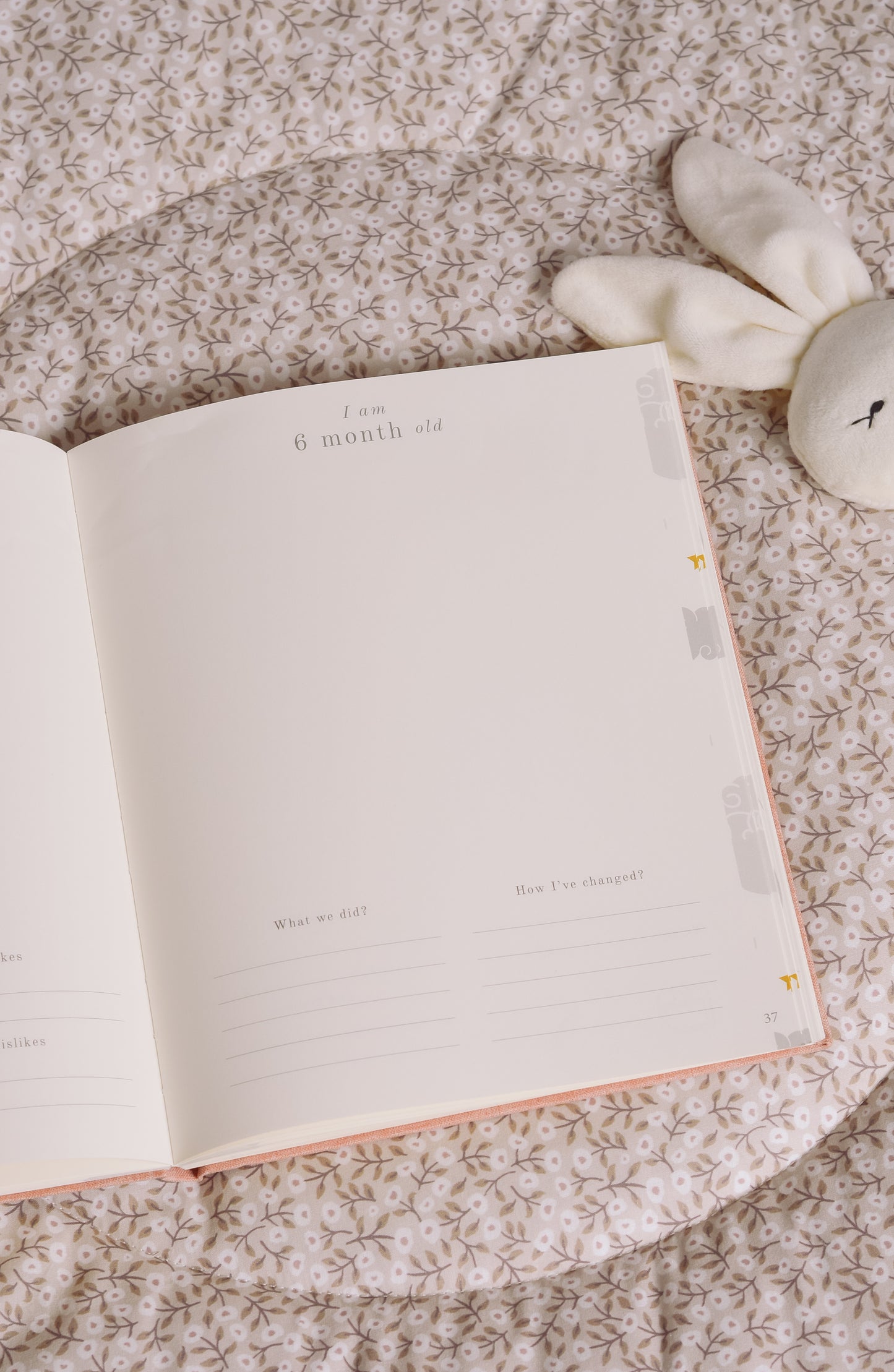 Libro de Recuerdos del bebé
